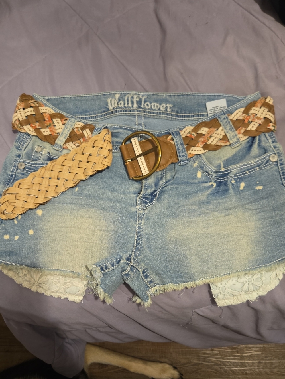 Wallflower Braided Belt in Tan, Cream and Brown